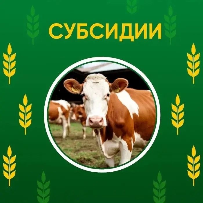 5a8dIn3B8E9P5oilg6IhPM83tsbplLtstah6o5N5q1Z0lU6aWcH1FARdInrBWuuKjQWNIDMidWaFqUUmRoiRF8ki (1).jpg