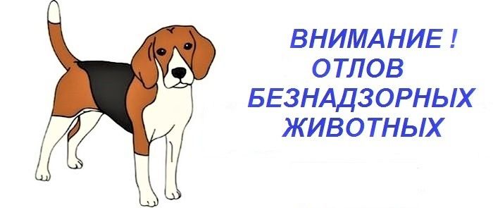 yCunRq4OX6ontx7-25BjOtoJrVdV9SzKbKRx9vxUxlurUUX4qBUNiT2BLfJcJKz7fIh_Q28MigvPD3pB4c5TCeHB (1).jpg